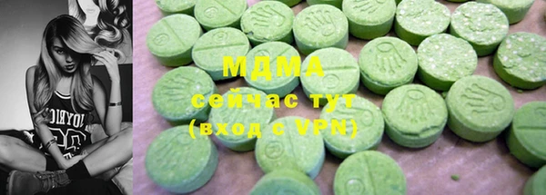 индика Мегион