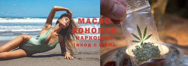 индика Мегион