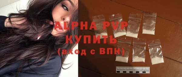 индика Мегион