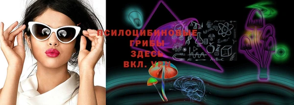 a pvp Медвежьегорск