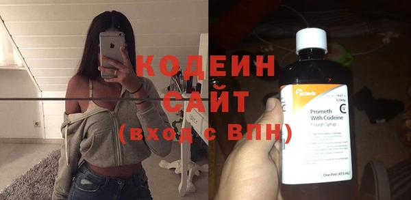 индика Мегион