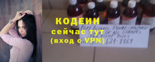индика Мегион