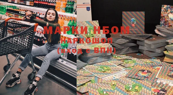 индика Мегион