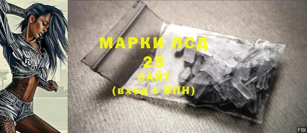 индика Мегион