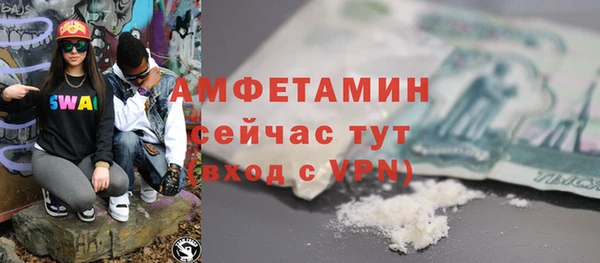 индика Мегион