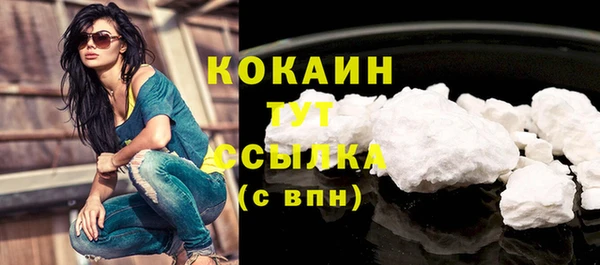 индика Мегион